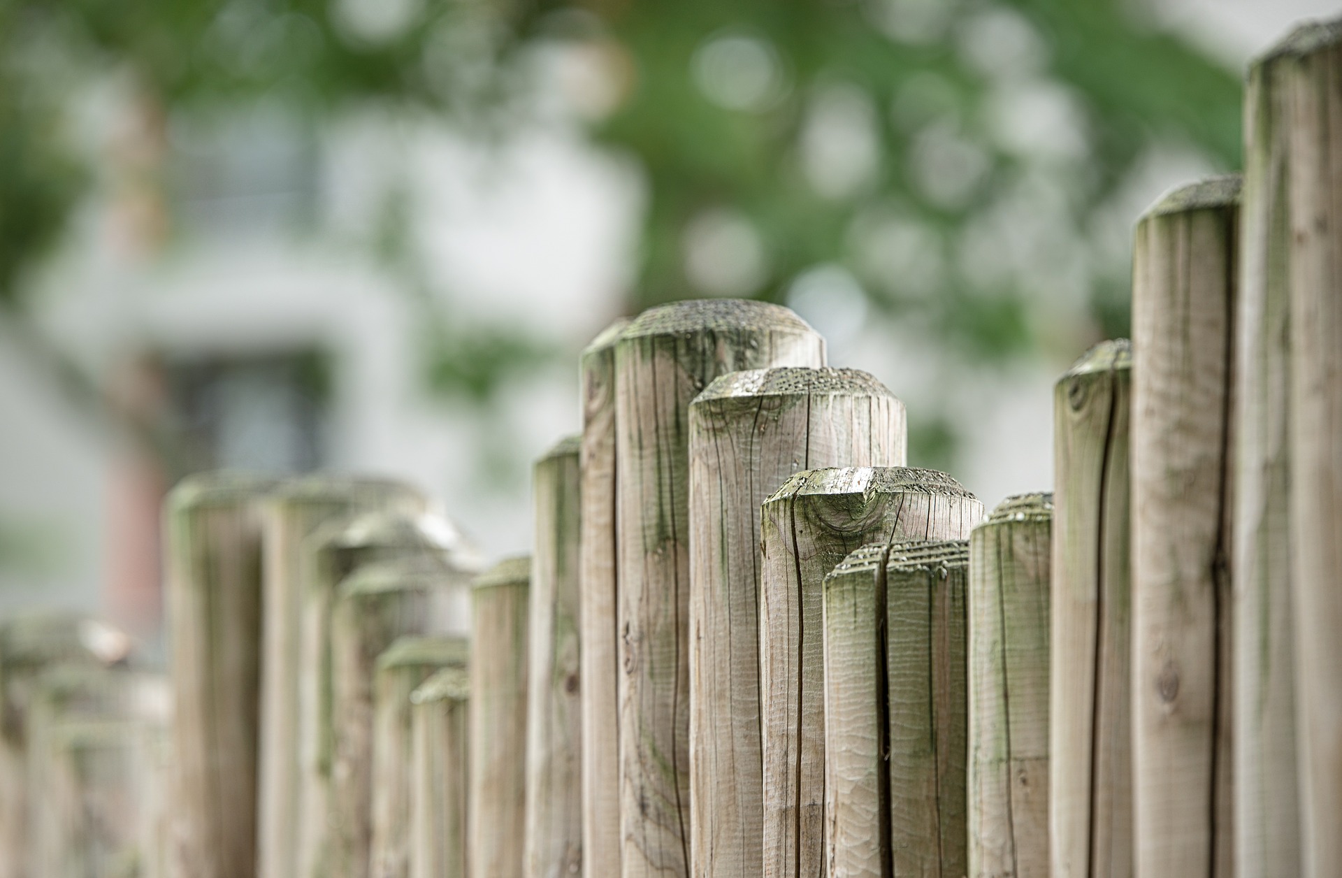 Drewniane ogrodzenie